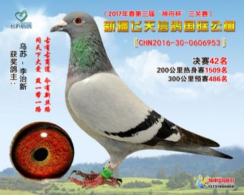 新疆飞天决赛42名