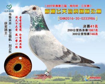 新疆飞天决赛41名