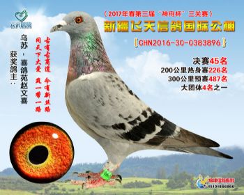 新疆飞天决赛45名
