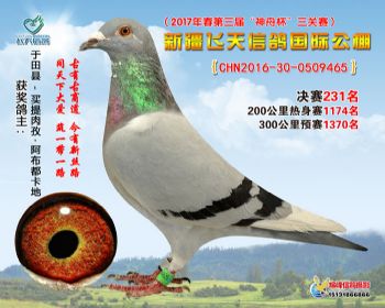 新疆飞天决赛231名