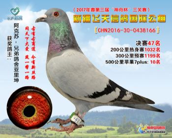 新疆飞天决赛47名