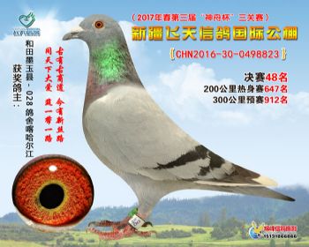 新疆飞天决赛48名