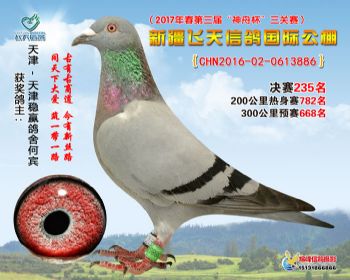 新疆飞天决赛235名