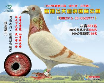 新疆飞天决赛237名