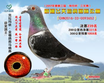 新疆飞天决赛239名