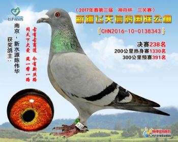 新疆飞天决赛238名