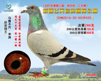 新疆飞天决赛240名