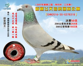 新疆飞天决赛50名