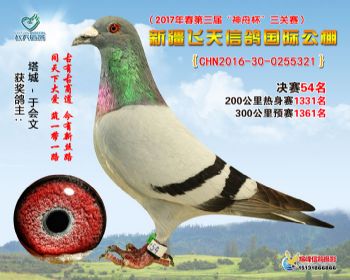 新疆飞天决赛54名