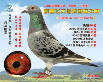 新疆飞天决赛56名