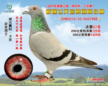 新疆飞天决赛57名