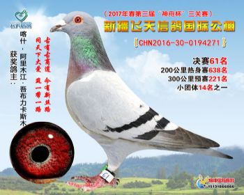 新疆飞天决赛61名