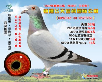新疆飞天决赛63名