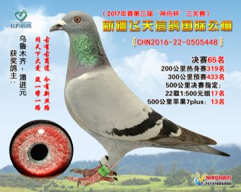新疆飞天决赛65名