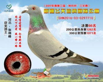 新疆飞天决赛66名