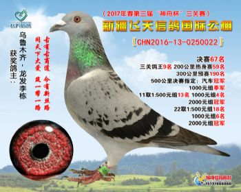 新疆飞天决赛67名