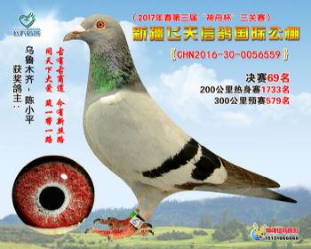 新疆飞天决赛69名