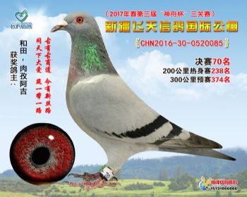 新疆飞天决赛70名