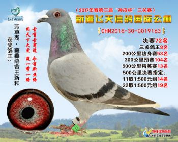 新疆飞天决赛72名