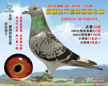 新疆飞天决赛74名