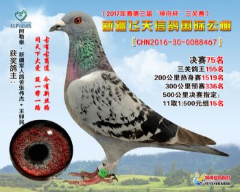 新疆飞天决赛75名