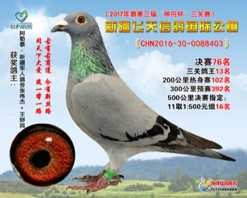 新疆飞天决赛76名