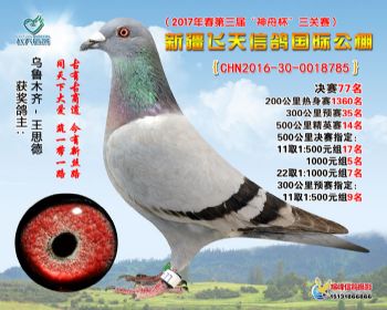 新疆飞天决赛77名