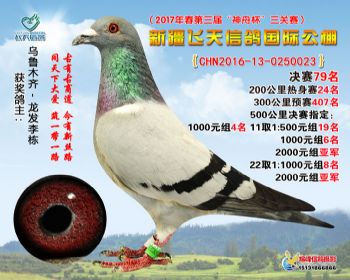 新疆飞天决赛79名