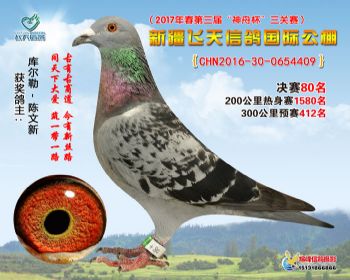 新疆飞天决赛80名