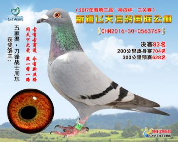 新疆飞天决赛83名