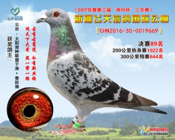 新疆飞天决赛89名