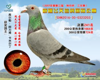新疆飞天决赛241名