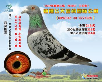 新疆飞天决赛245名
