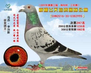 新疆飞天决赛247名