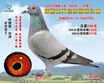 新疆飞天决赛246名