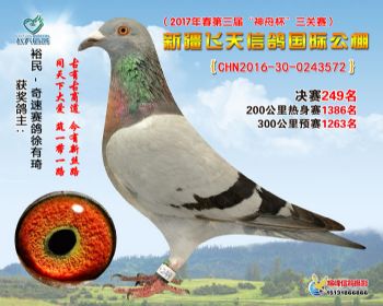 新疆飞天决赛249名