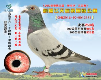 新疆飞天决赛250名