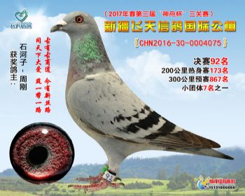 新疆飞天决赛92名