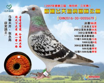 新疆飞天决赛96名
