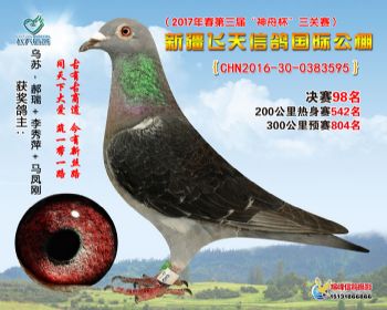 新疆飞天决赛98名