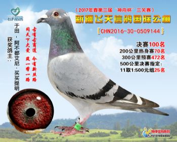 新疆飞天决赛100名
