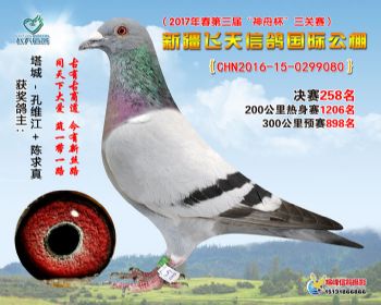 新疆飞天决赛258名