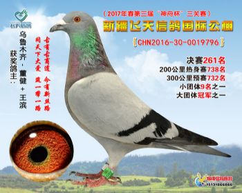 新疆飞天决赛261名