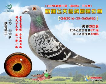 新疆飞天决赛262名