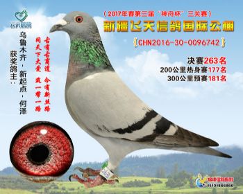 新疆飞天决赛263名