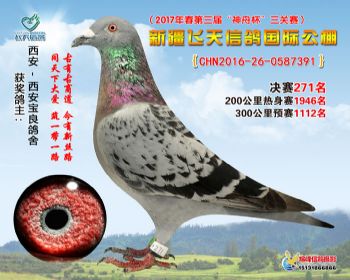 新疆飞天决赛271名