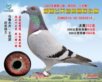 新疆飞天决赛272名