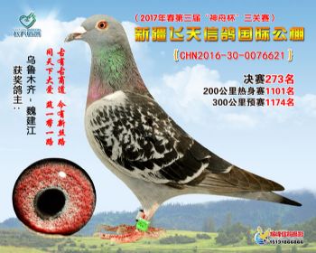 新疆飞天决赛273名