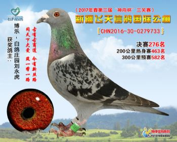新疆飞天决赛276名