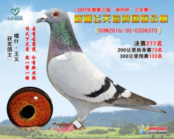 新疆飞天决赛277名